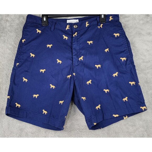Golden Retriever Labrador Dog Pattern Print Men’s 34-36 Shorts preppy fun - Picture 6 of 14